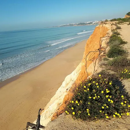 公寓 Falesia 6 B *