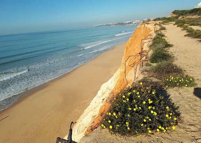 Apartmán Falesia 6 B *