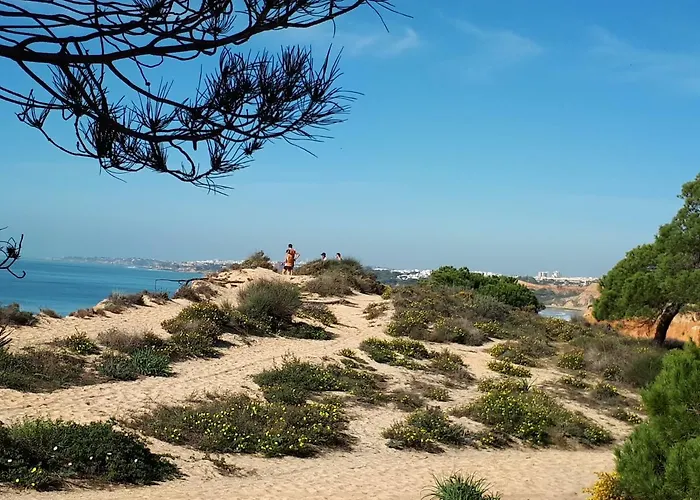 Falesia 6 B Apartmán